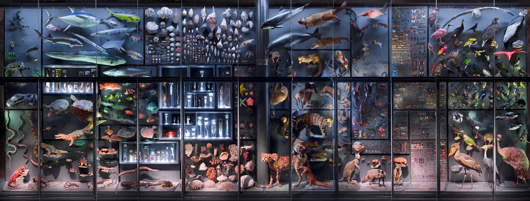 introducing_the_museum4