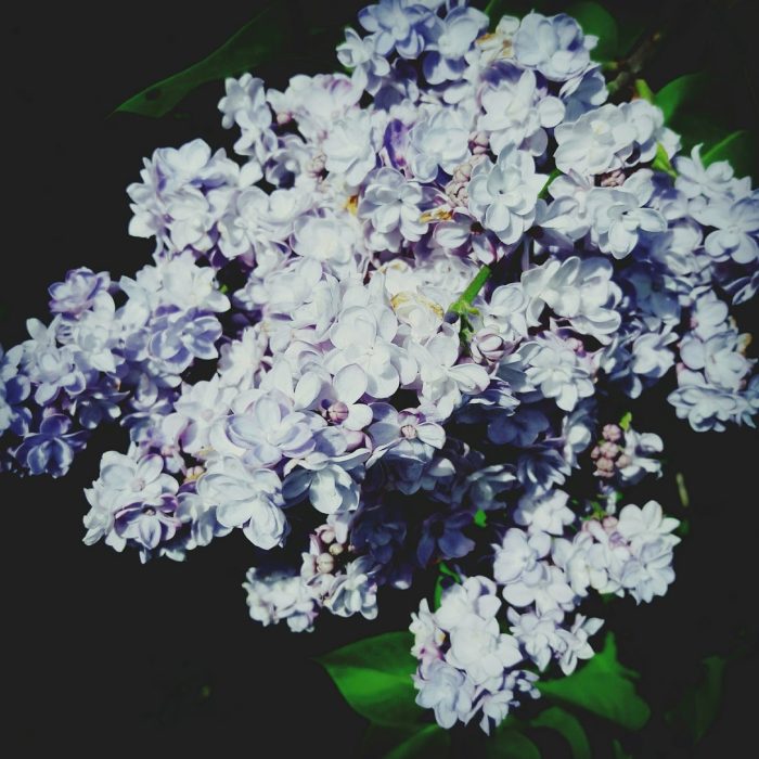 IMG_20170514_100902645