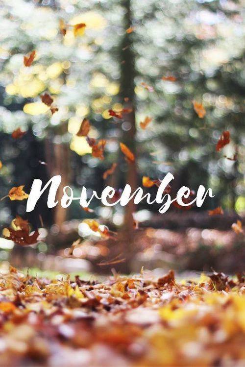 novembre