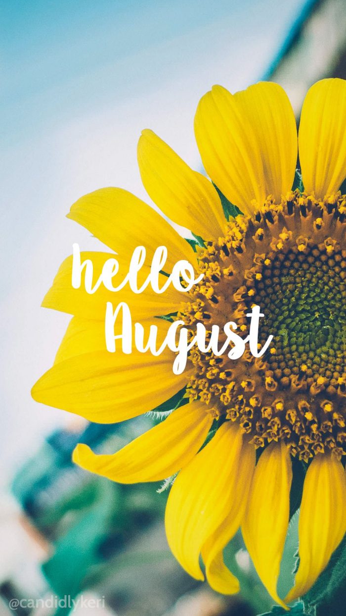 helloaugust