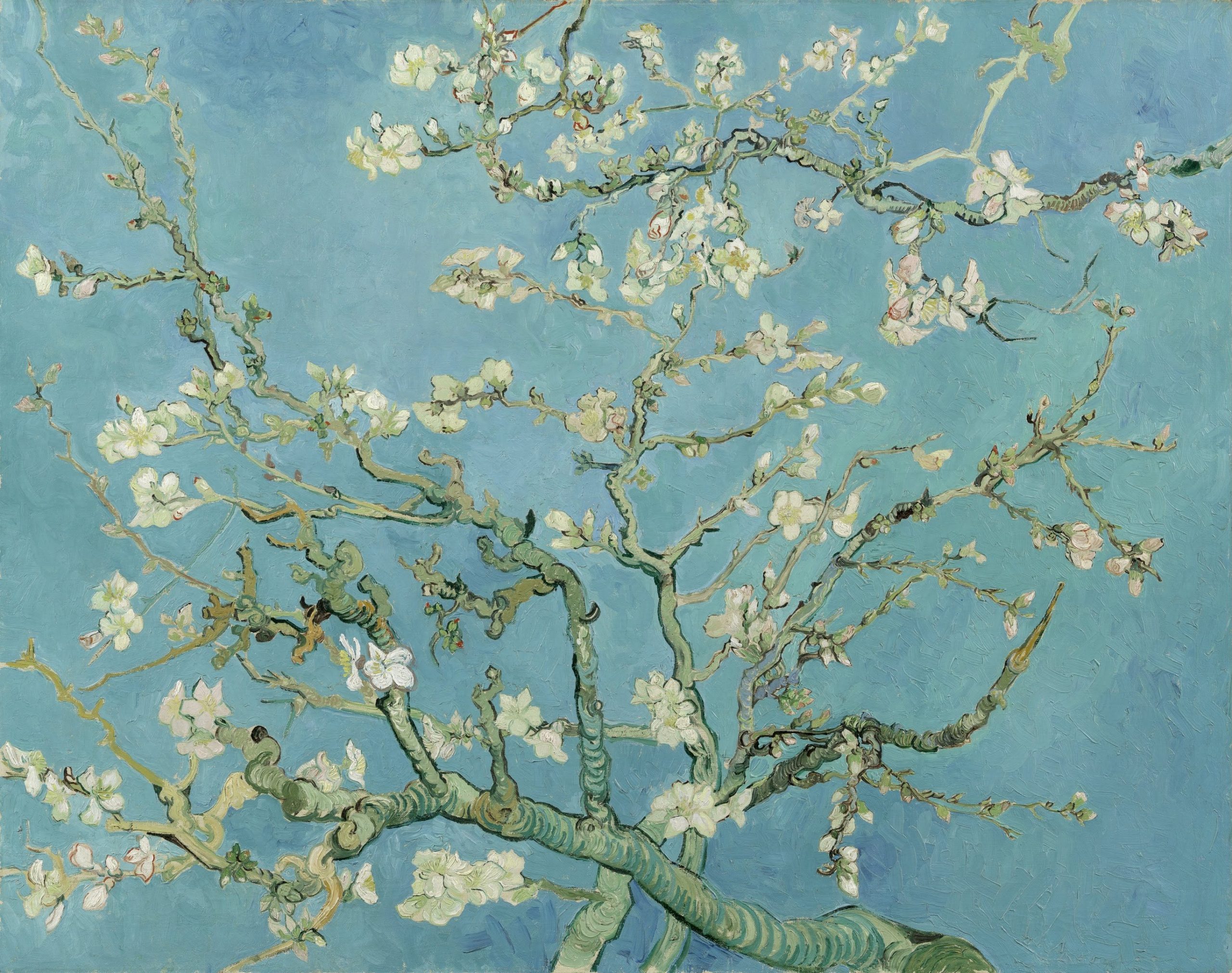 2734px-Vincent_van_Gogh_-_Almond_blossom_-_Google_Art_Project
