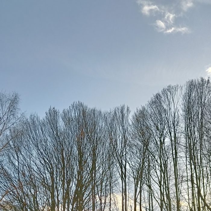 IMG20220205161152__01