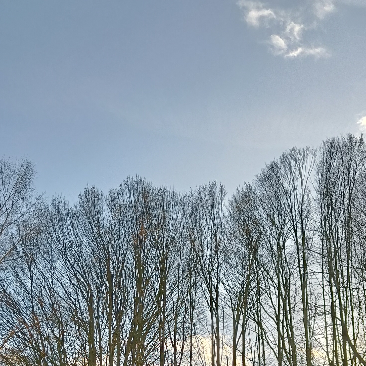 IMG20220205161152__01