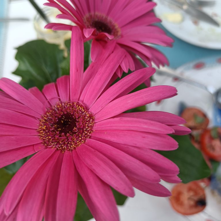 2023-06-03T20_28_2102_00